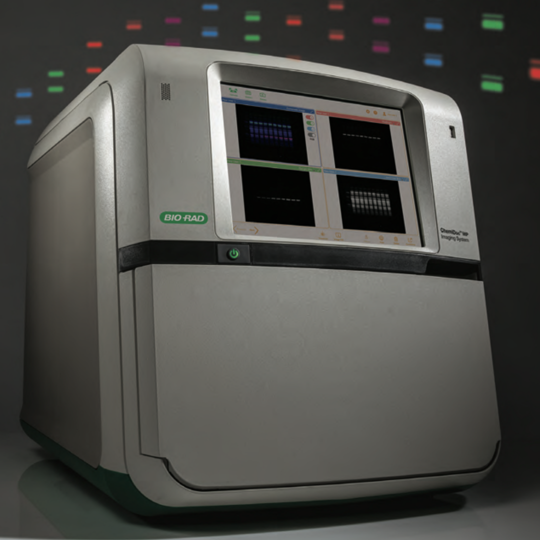 Gel Imaging System OIST Groups